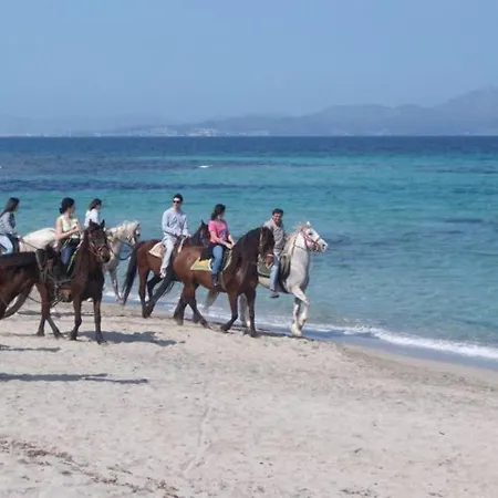 Serena Tatil Evi *